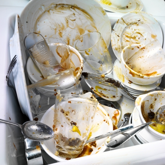 web_1_01_intensiv_programme_558x558px