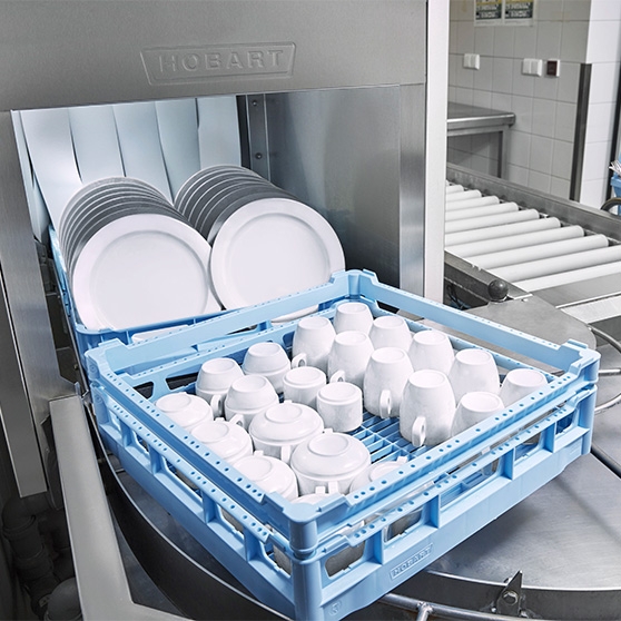 web_4_dynamic-dry_558x558px